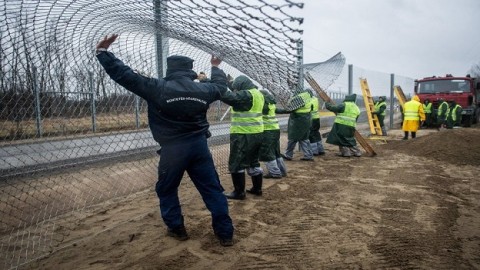 Hungary Plays the EU