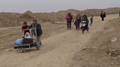 Scale of civilians fleeing Iraq's Mosul 'staggering' – senior UN relief official