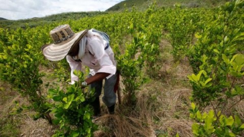 Colombia: Cauca locals fear spread of violence in the region