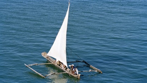 UN Ocean Conference wraps up with actions to restore ocean health, protect marine life