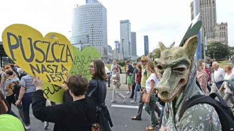 Environmentalists protest logging in ancient Polish forest