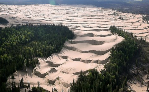 （地球異変）アラスカの森、広がる「砂漠」