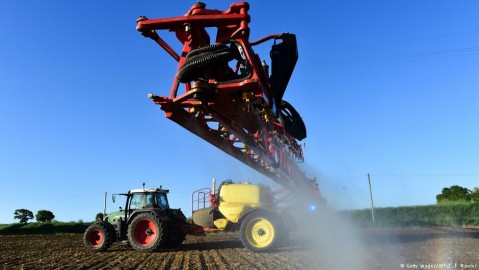 A farmer sprays glyphosate on rows of newly-emerged crops. Photo: F. Monier / AFP / Getty Images