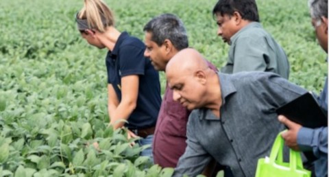 Members of the Illinois Soybean Growers Association and a trade group of grain buyers from Sri Lanka inspect soybeans at the Pioneer-DuPont Seed facility in Addieville, Illinois, Sept. 19. Photo: Lawrence Bryant / Reuters