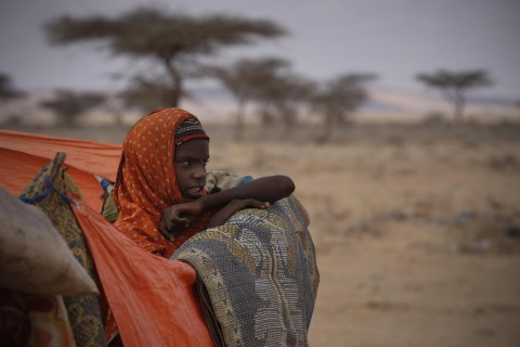 En 2017, más de 157 millones de personas vulnerables de más de 65 años estuvieron expuestas en todo el mundo a olas de calor