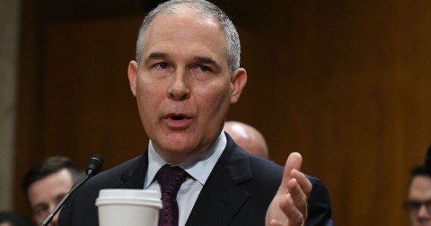 Scott Pruitt. Photo: Mark Reinstein/AP