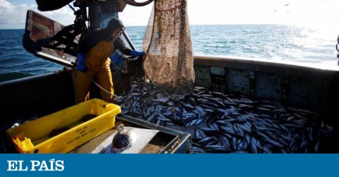 El arrastrero francés 'Nounoute', faenando en la costa de Ouistreham, al noroeste de Francia