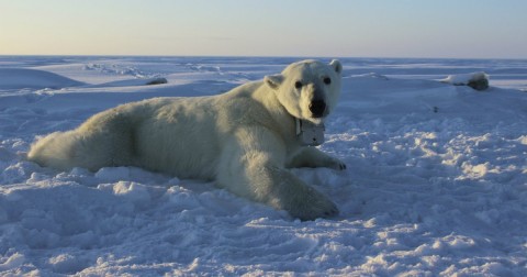 Photo: Anthony Pagano/USGS via AP