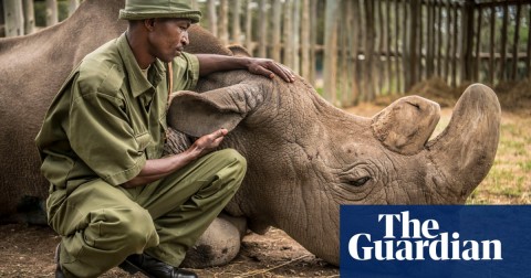  Zacharia Mutai with Sudan, moments before he died on 19 March. Photo: Ami Vitale/National Geographic Creative