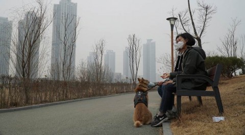 南韓人吃豬肉抗霧霾，認為豬油能清除喉嚨上的污垢。這源自於煤礦工人早年流傳的觀念，遭專家斥毫無科學根據。事實上，南韓身為亞洲第四大經濟體，但空污卻比其他工業化國家還嚴重，南韓國會已通過法案，將霧霾視為社會災難。