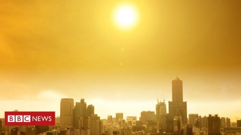 The World Meteorological Organization (WMO) says that the physical and financial impacts of global warming are accelerating.
