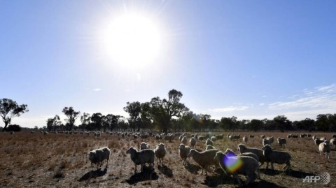 Meteorologists say weather patterns over the Indian and Pacific oceans have contributed to recent higher temperatures.