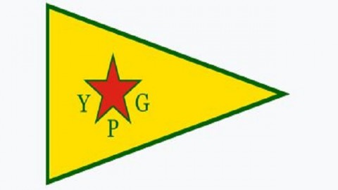 20190502ypg