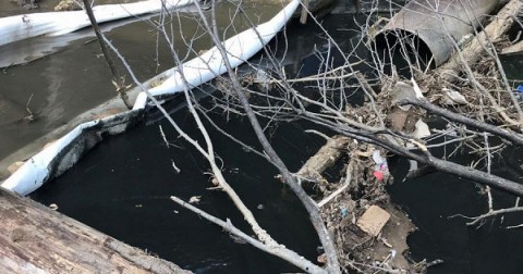 俄羅斯的窩瓦河遭非法傾倒燃油，污染擴及下水道及沿海地帶。