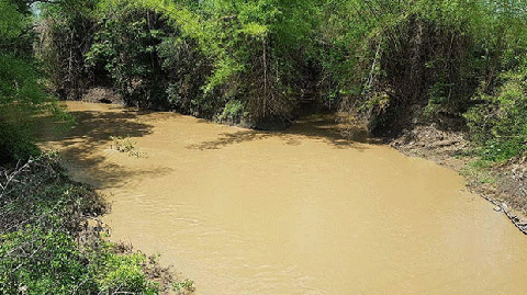 Waste-from-China-to-Cambodia