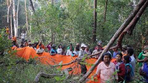 Cambodia-and-deforestation