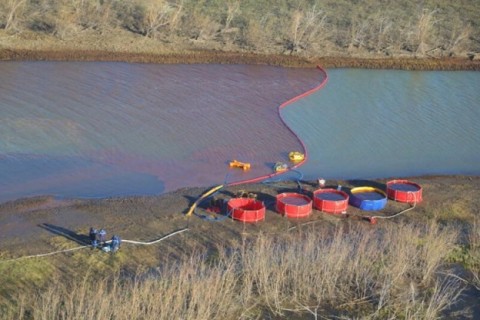 nz_oilspill_100637