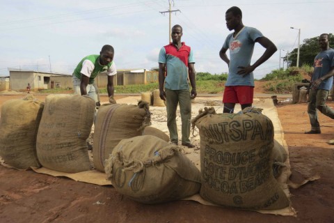 Legally sourced chocolate could help end deforestation in West Africa