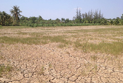 「気候変動が成長を止める」　沈むメコン、迫る危機  ベトナム