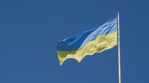 Украинский филиал международной антикоррупционной организации Transparency International призвал правительство страны временно отстранить главу Национального агентства Украины по вопросам предотвращения коррупции (НАПК) Наталью Корчак. Организация указывает, что 14 ноября глава департамента финансового контроля НАПК Анна Соломатина предоставила факты небрежного отношения Корчак к своей работе и ее вероятных фальсификаций проверок электронных деклараций.