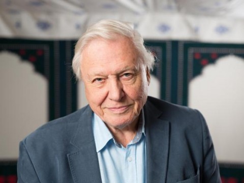 David Attenborough just warned the ocean under biggest threat in history