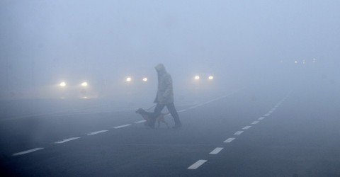 Photo: Ognen Teofilovski / Reuters