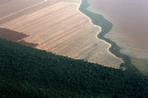 The Amazon rainforest is seen in an aerial shot next to forest torn down for soybean farming in Tato Grosso state in Western Brazil. Photo: Paulo Whitaker/Reuters