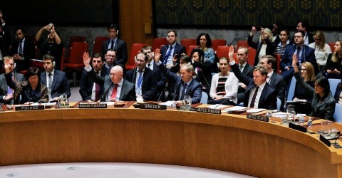 Members of the UN Security Council vote for ceasefire to Syrian bombing in eastern Ghouta, at UN headquarters on February 24, 2018. Photo: Eduardo Munoz / Reuters