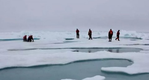 Scientists on Arctic sea ice in the Chukchi Sea, surrounded by melt ponds, July 4, 2010. Photo: Kathryn Hansen / NASA