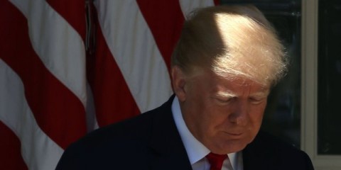 President Donald Trump. Photo: Mark Wilson/Getty Images