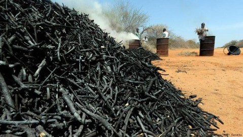 Photo: Kenia Rodung / Getty Images / AFP / T. Karumba