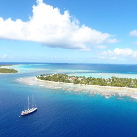 "We struggled to find any coral life": Researchers shocked by bleaching in Pacific