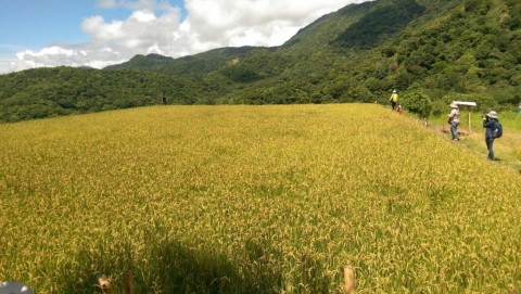 能源安全「如履薄冰」 糧食安全「天馬行空」 