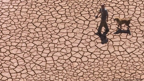 Man walking with dog on cracked, dry bed of Alcora Lake in Spain. Photo: F. Bustamante / AP