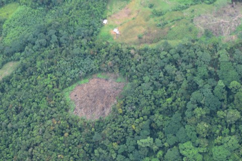 La disputa por el control territorial en el Catatumbo no cesa. Por el contrario va en ascenso.