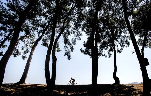 Counterterrorism, Italy-style: Fewer barricades, more pretty trees