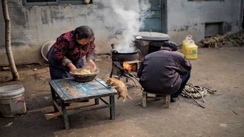 Rural Poor Bear the Brunt of China’s Aging Crisis